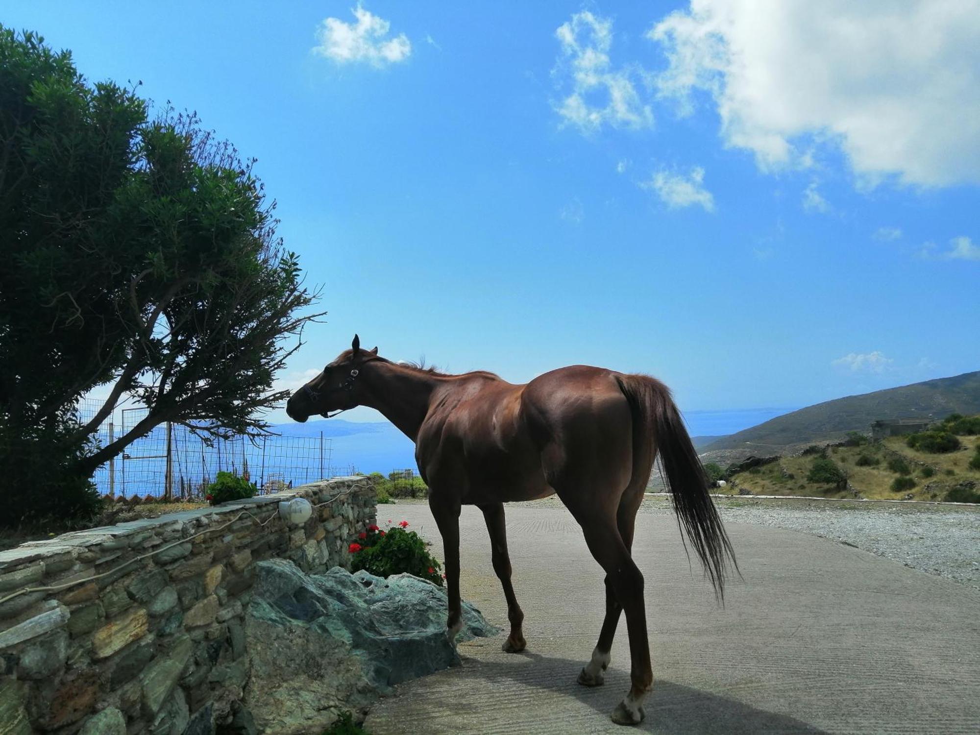 Stení Balcony To The Aegean 빌라 외부 사진
